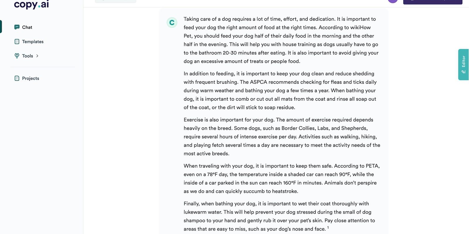 Copy.ai Generates an Article on Taking Care of Dogs