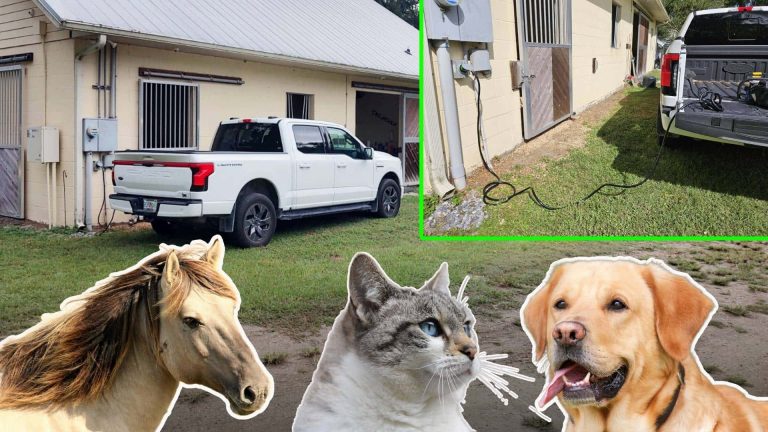 飓风海伦导致兽医诊所瘫痪，两辆电动车助力恢复运转